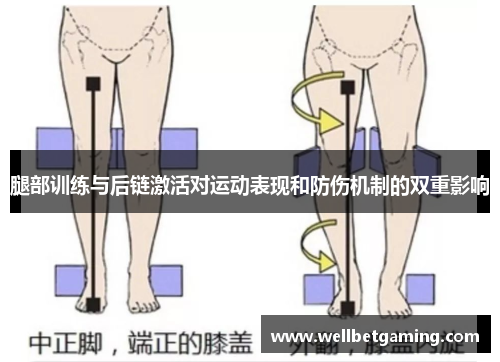 腿部训练与后链激活对运动表现和防伤机制的双重影响